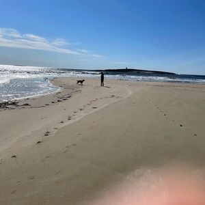 Meet your Posher, Alison